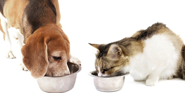 гипоаллергенные корма Grandorf