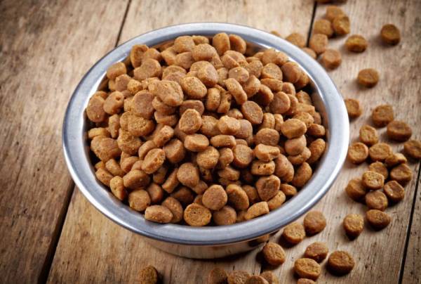 холистик корма