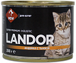 LANDOR - индейка и тыквой для котят
