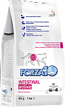 FORZA10 Intestinal Active (31,4/12) - &quot;Форца 10 Актив&quot; для взрослых кошек с проблемами пищеварения