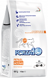 FORZA10 Renal Active (26/18,5) - &quot;Форца 10 Актив&quot; для взрослых кошек с острой и хронической почечной недостаточностью