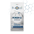 FORZA10 Active Condro Adult (26/12,5) - &quot;Форца 10 Актив&quot; с рыбой для поддержания опорно-двигательного аппарата собак